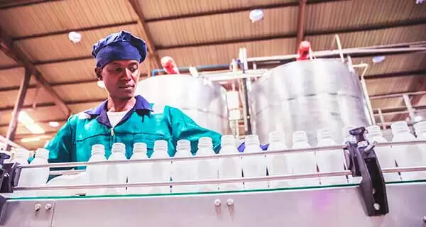 Application Dairy – Anderson Negele Application Dairy - Anderson Negele